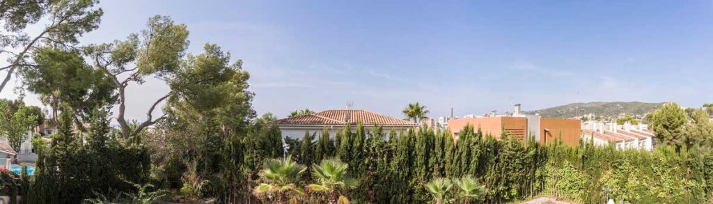 Photo taken at a height of 4 m.