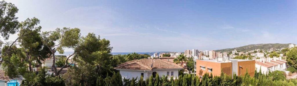 Photo taken at a height of 7.5 m.