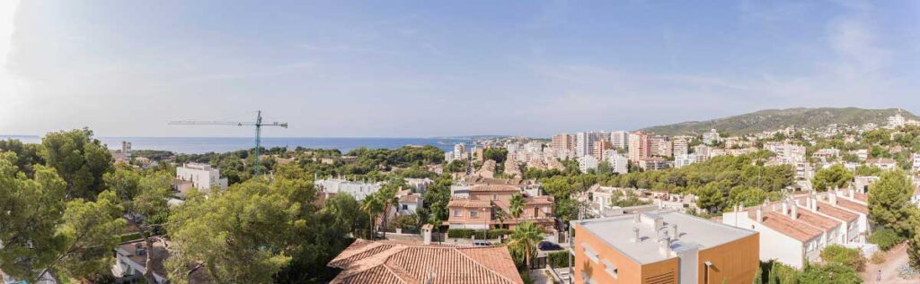 Photo taken at a height of 11 m.