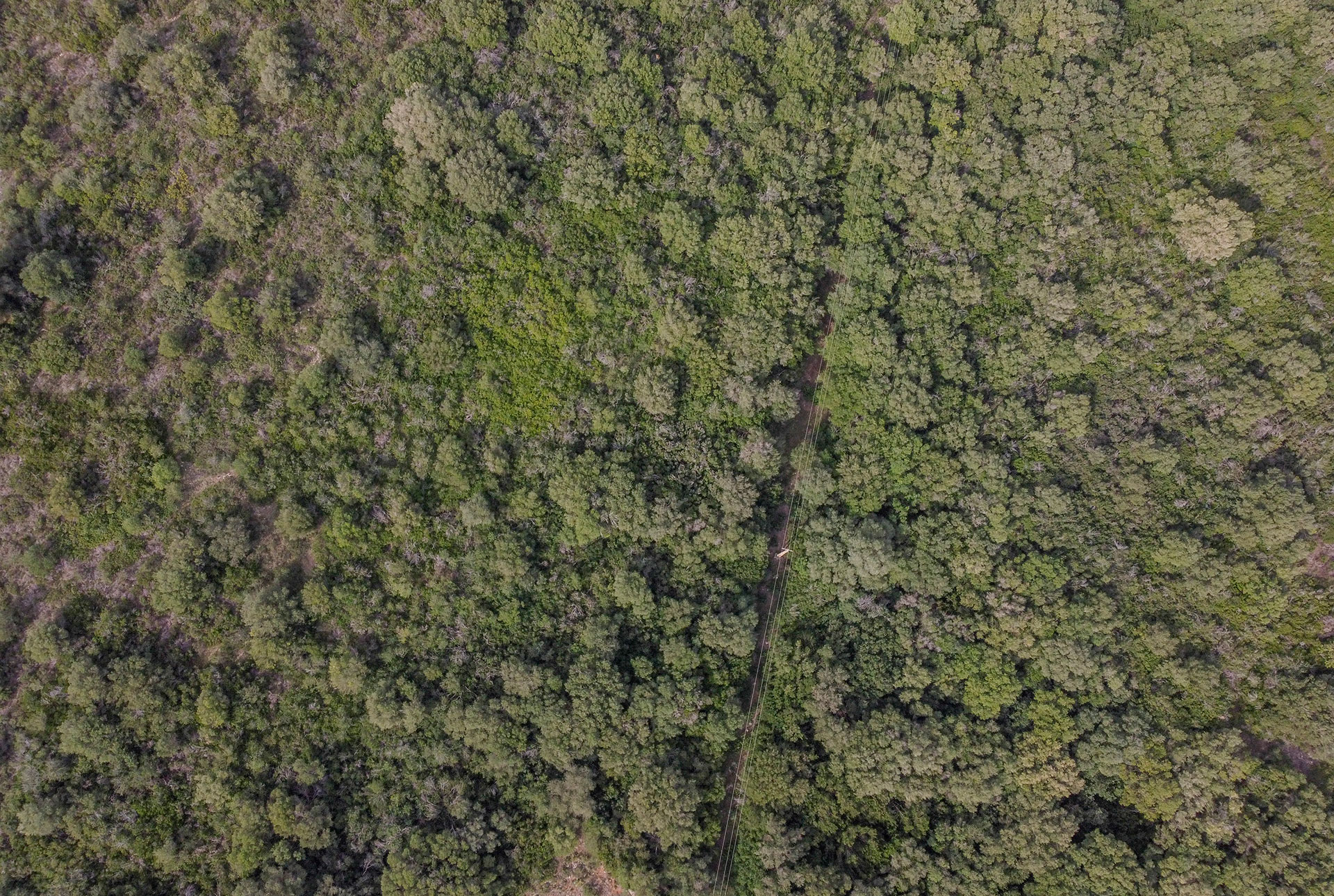 Terrenos llenos de vegetación.